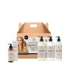 SOIVRE PACK ABSOLUTE PRO TRATAMIENTO RECONSTRUCTOR INTENSIVO