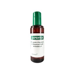 MEPENTOL PULVERIZADOR 100 ML