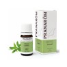 PRANAROM LAUREL 5 ML