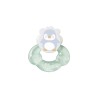 SARO MORDEDOR DE AGUA ANIMALES FRESQUITOS VERDE +6M