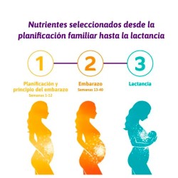 FEMIBION 3 LACTANCIA 28 COMPRIMIDOS + 28 CAPSULAS