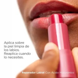 ISDIN REPARADOR LABIAL STICK COLOR GRANATE 4 G