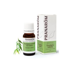 PRANAROM EUCALIPTO RADIATA 10 ML