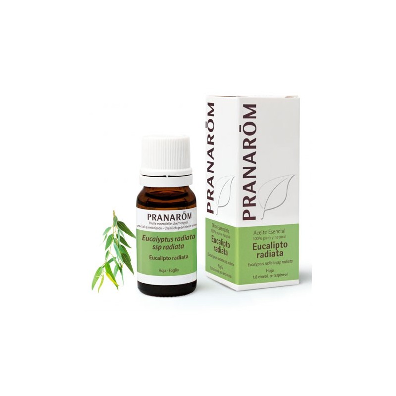 PRANAROM EUCALIPTO RADIATA 10 ML