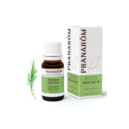 PRANAROM ARBOL DEL TE 10 ML