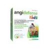 ANGIDEFENSE KIDS 12 SOBRES 15 G SABOR FRESA