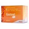 Refuerzo Intestinal Heel Gasteel Plus 30 Sticks - Equilibra Flora - Sistema Inmunitario